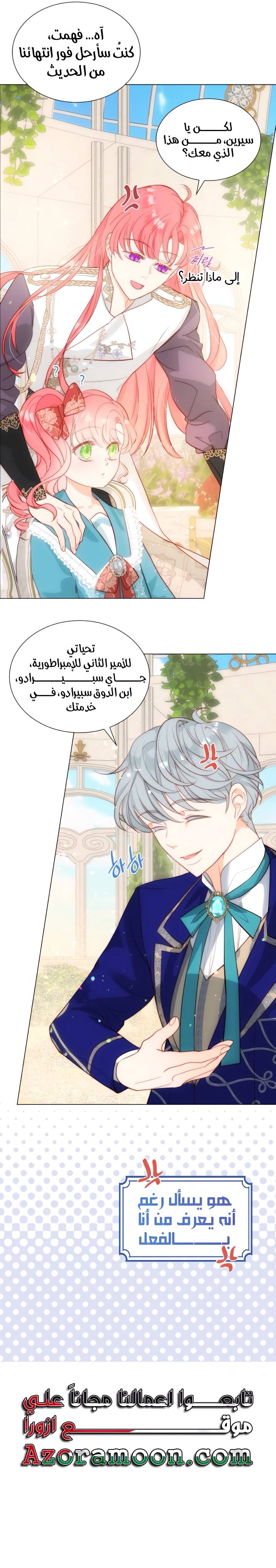 الصفحة 17