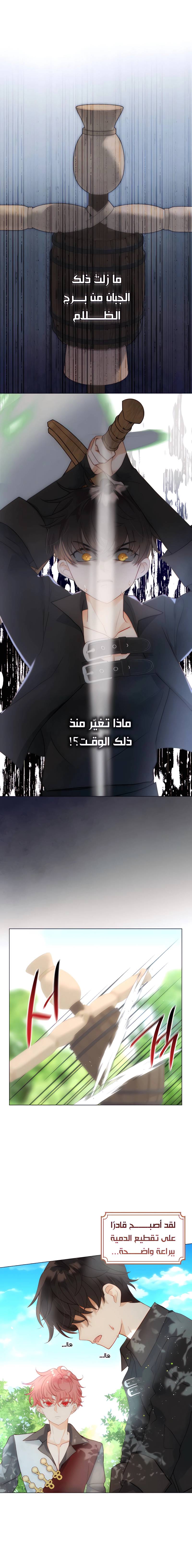 الصفحة 6