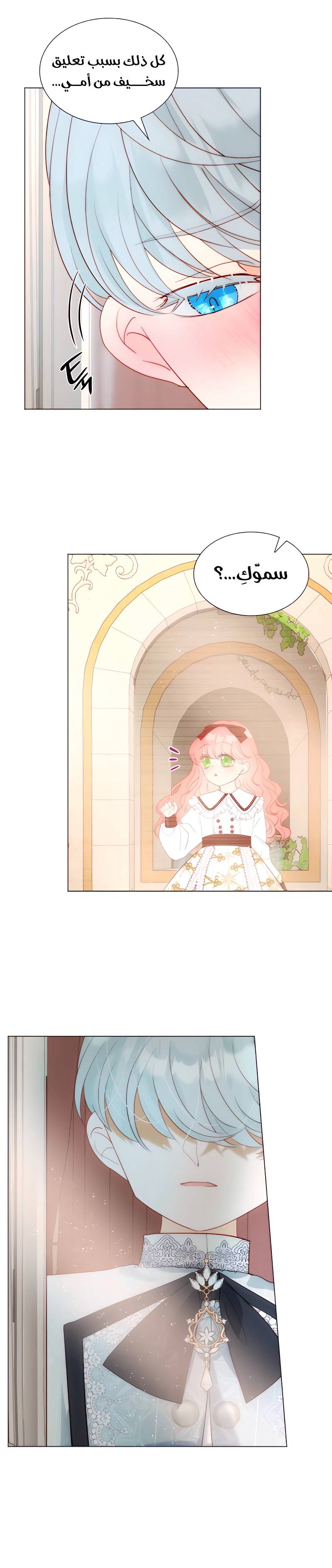 الصفحة 11