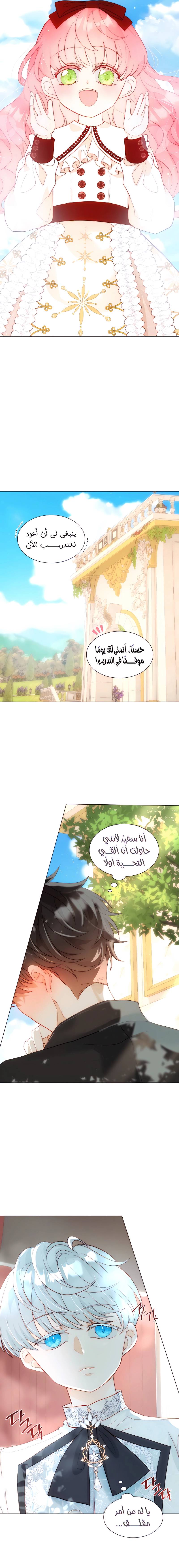 الصفحة 14
