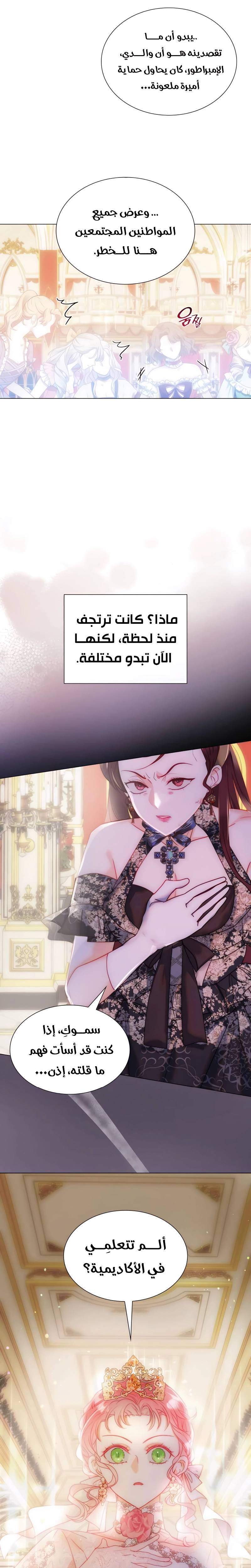 الصفحة 13