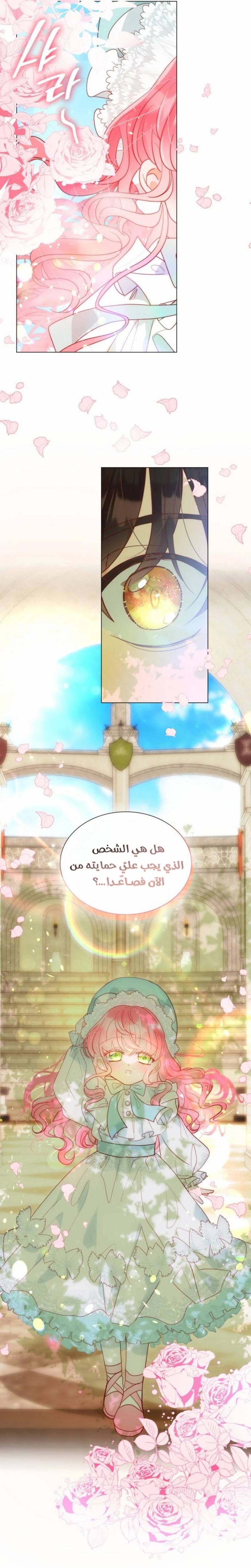 الصفحة 23