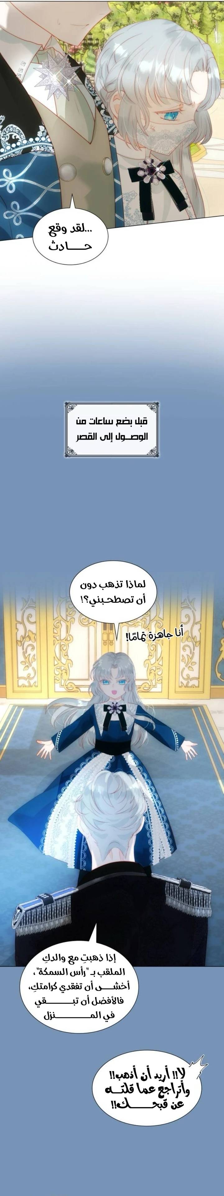 الصفحة 13