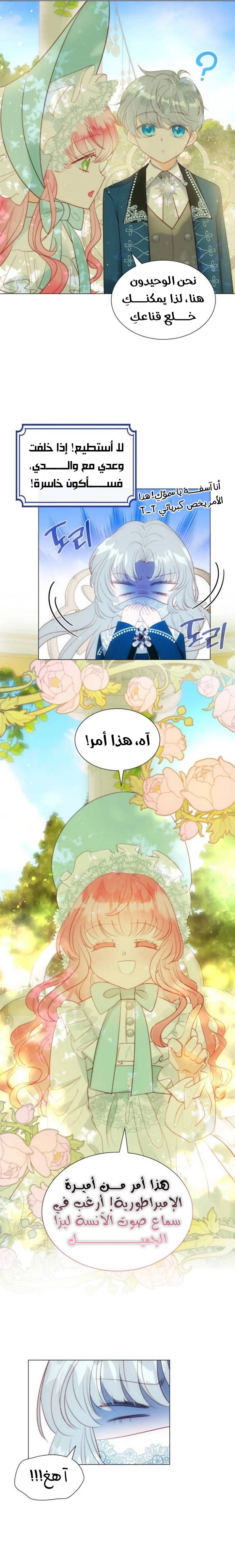 الصفحة 19