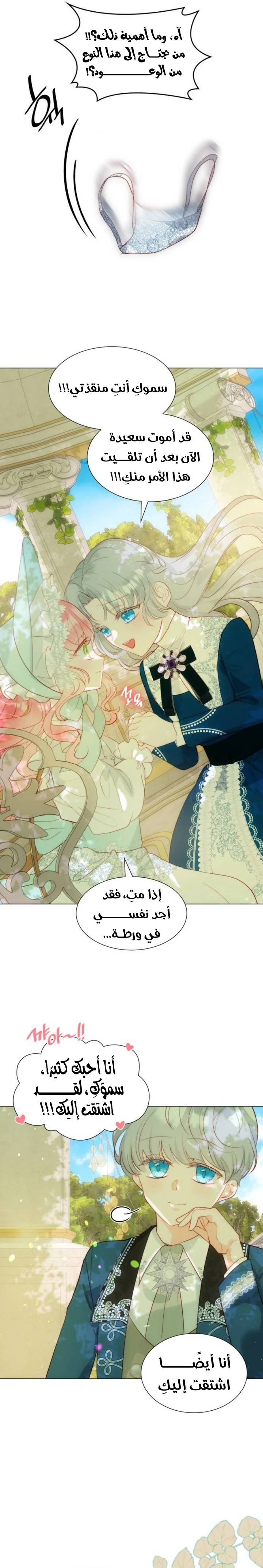الصفحة 20