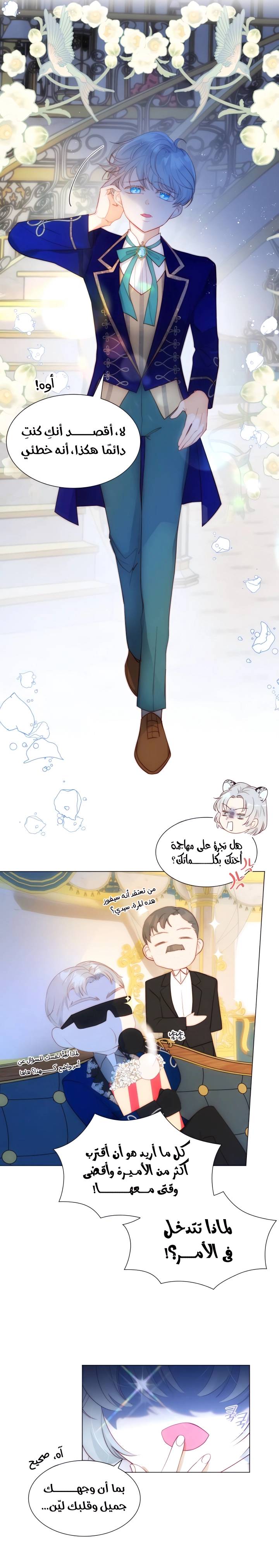 الصفحة 12