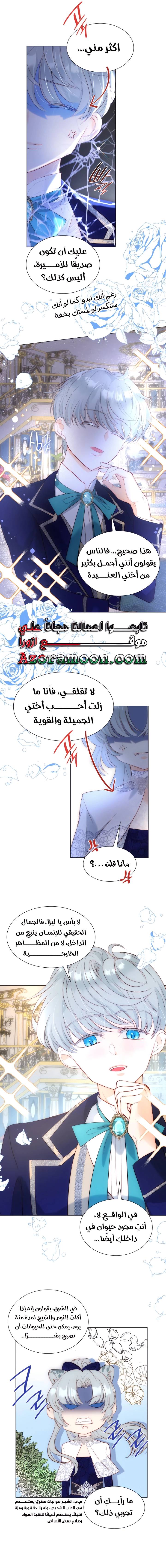 الصفحة 13