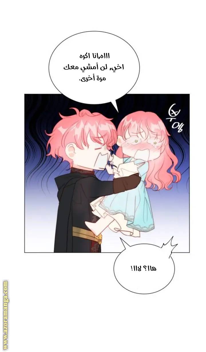 الصفحة 22