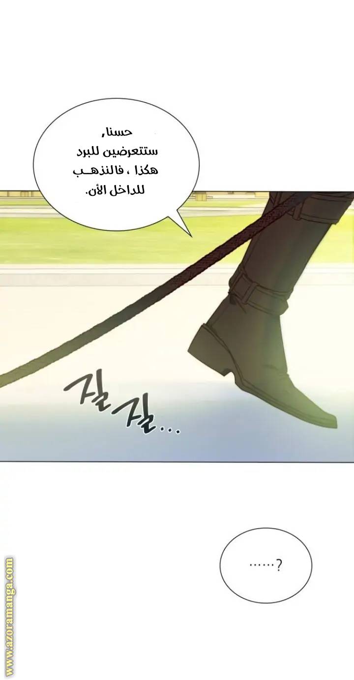 الصفحة 24