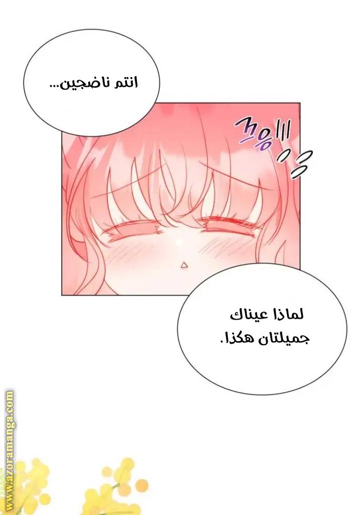 الصفحة 48