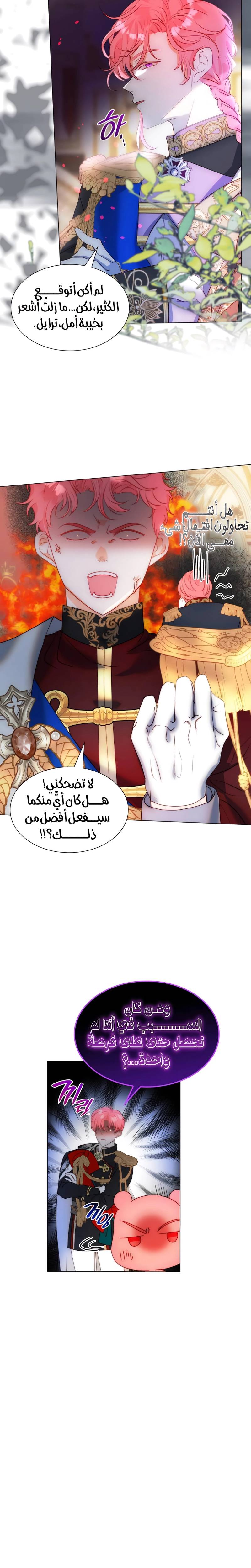 الصفحة 17