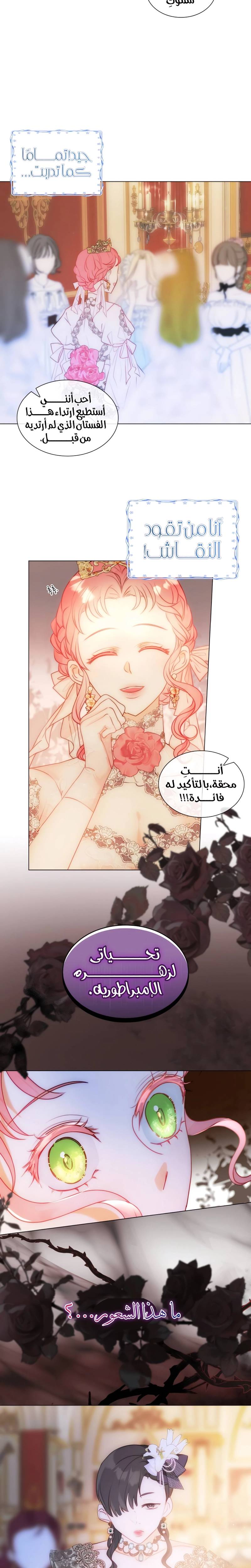 الصفحة 19