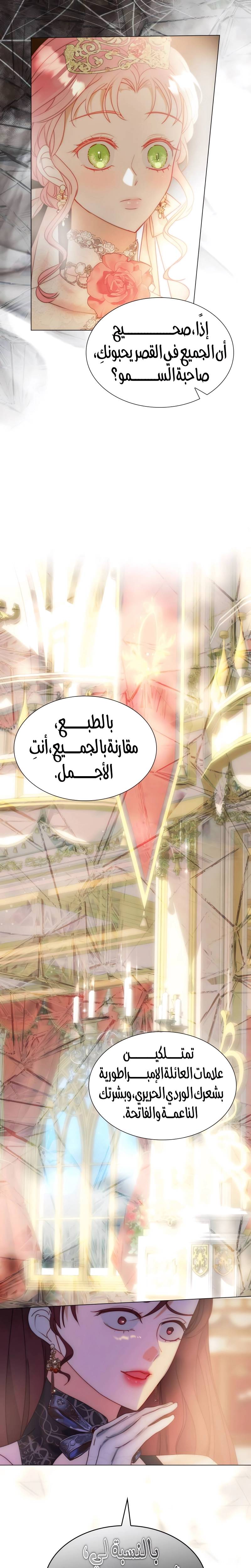 الصفحة 21