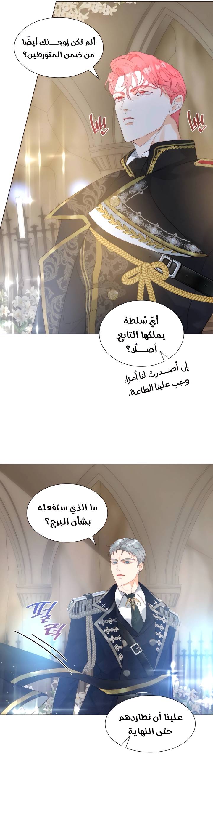 الصفحة 16