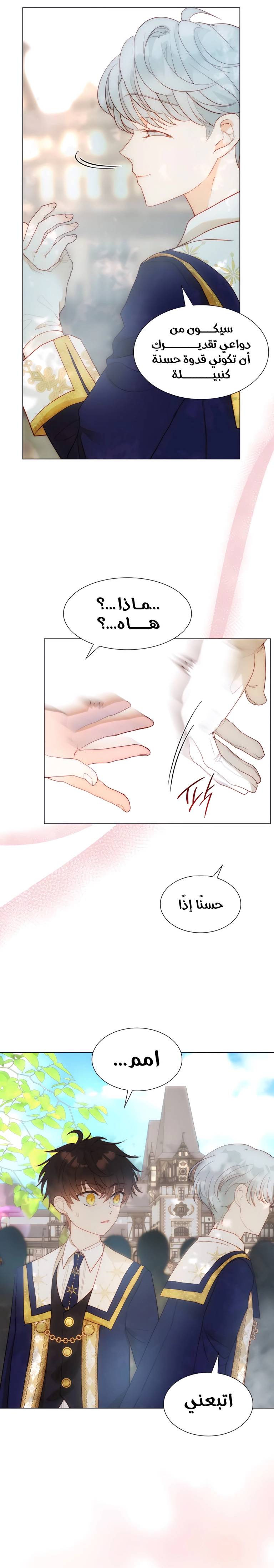 الصفحة 11