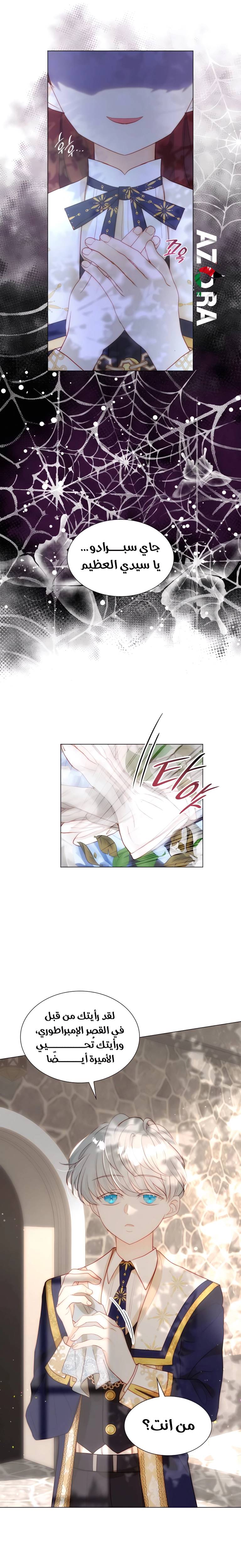 الصفحة 14