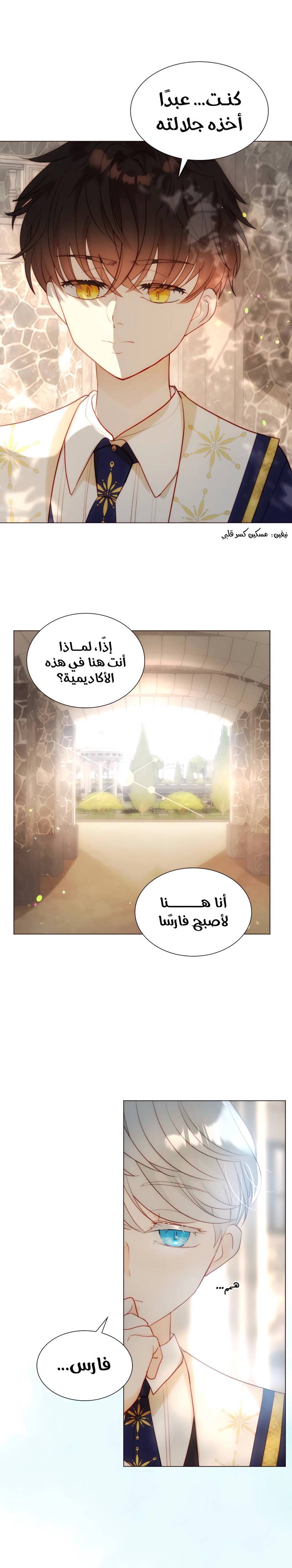 الصفحة 15