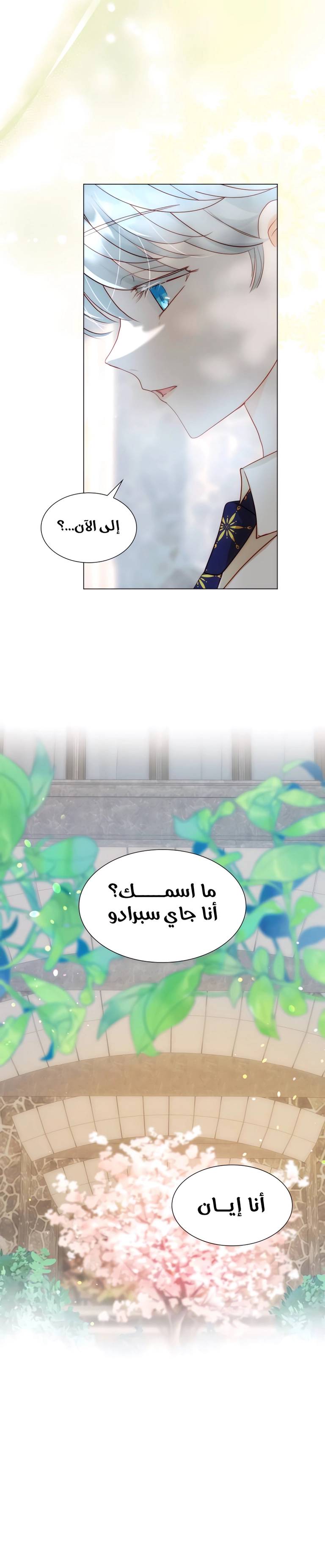 الصفحة 17