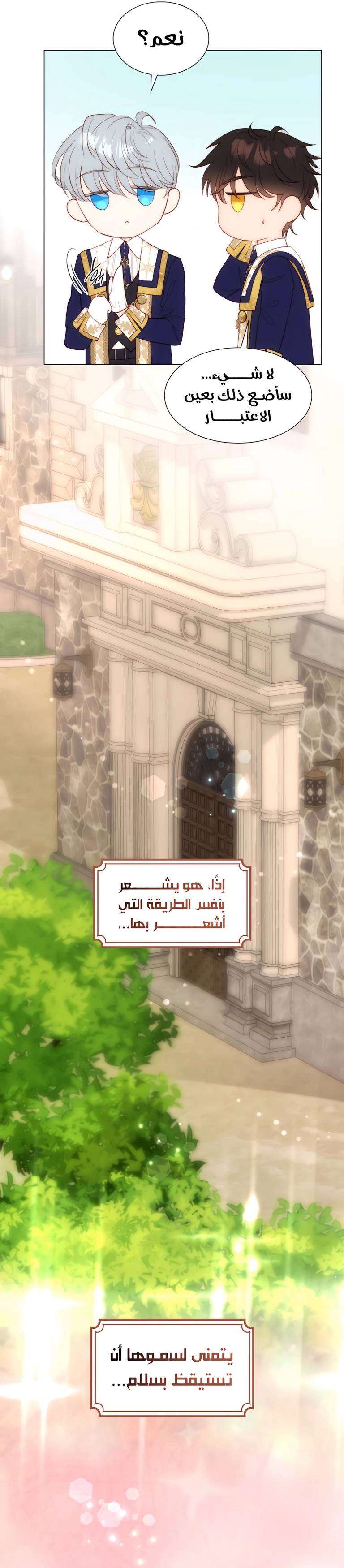 الصفحة 20