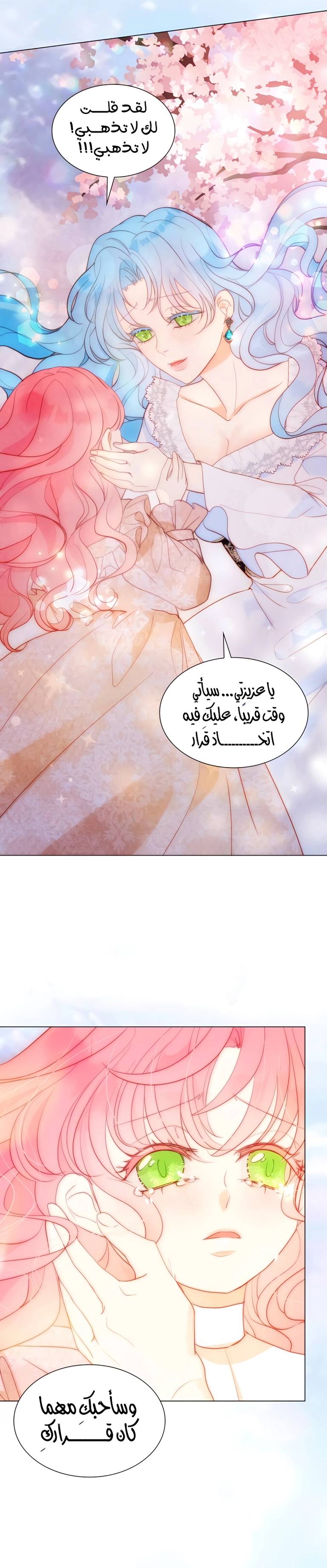 الصفحة 24