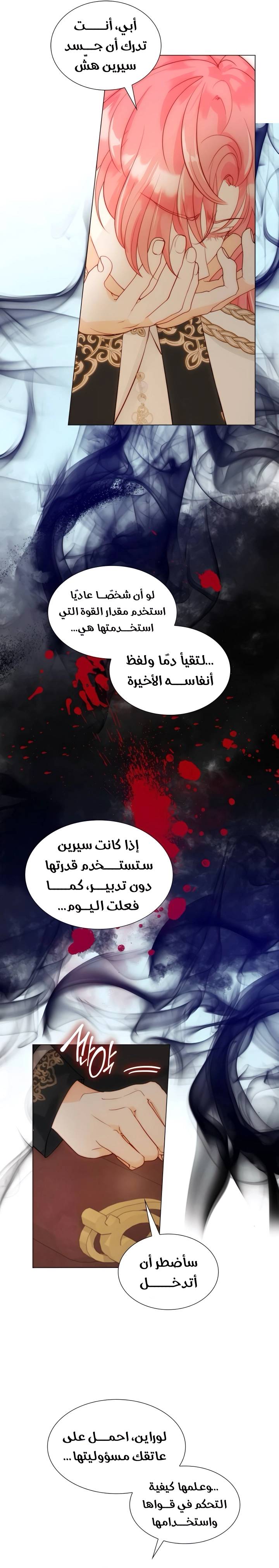 الصفحة 17