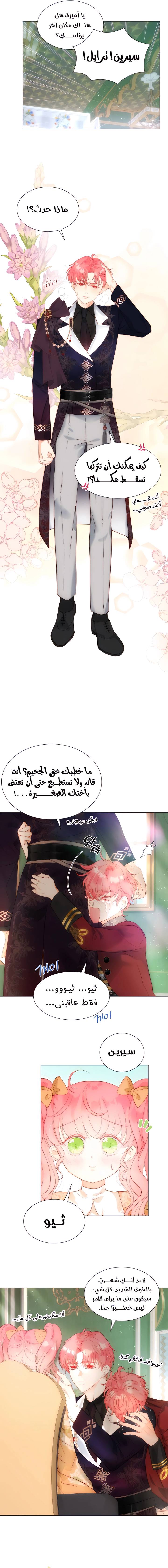 الصفحة 3
