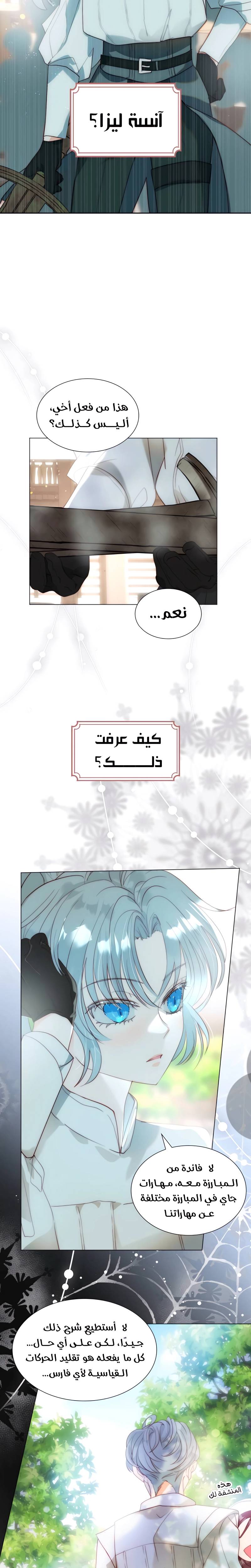 الصفحة 17