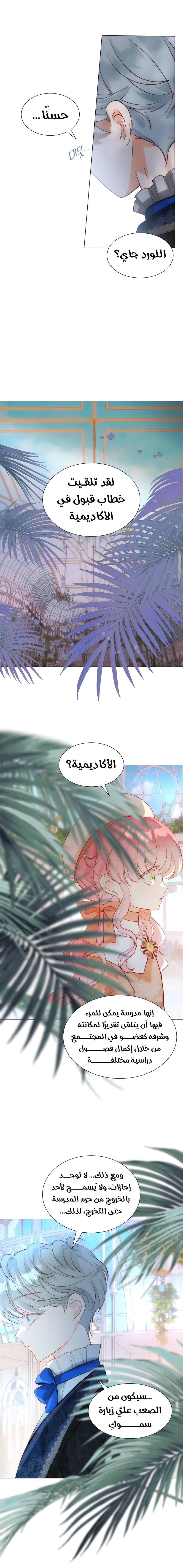 الصفحة 13