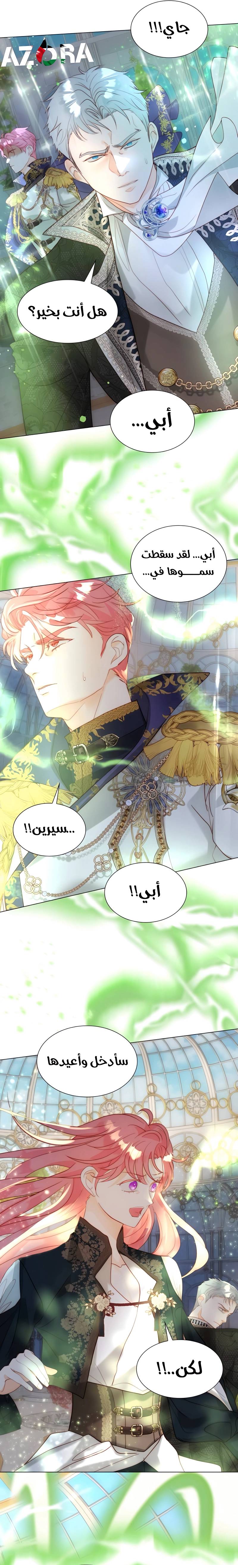الصفحة 17