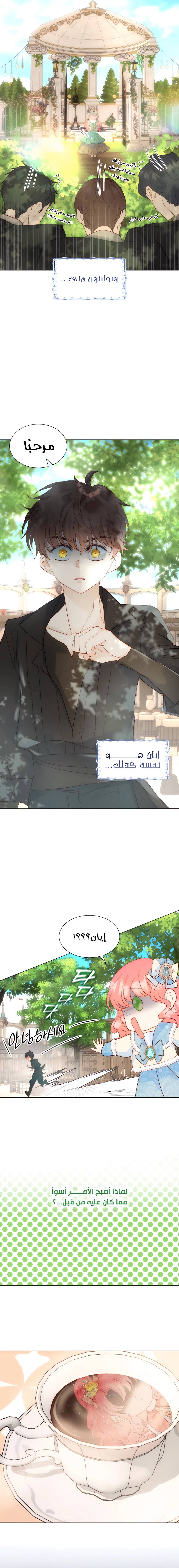 الصفحة 3