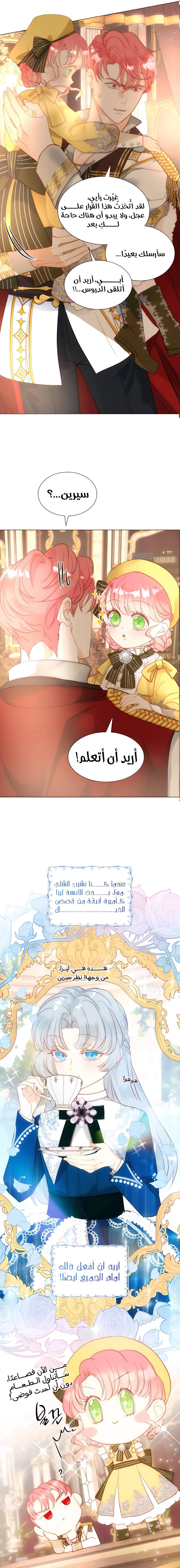 الصفحة 5