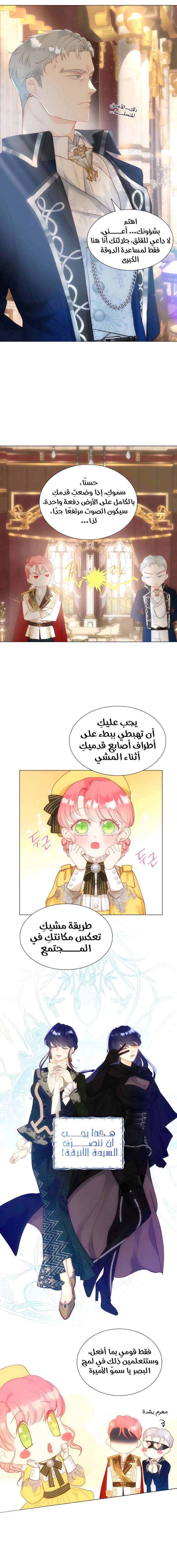 الصفحة 8