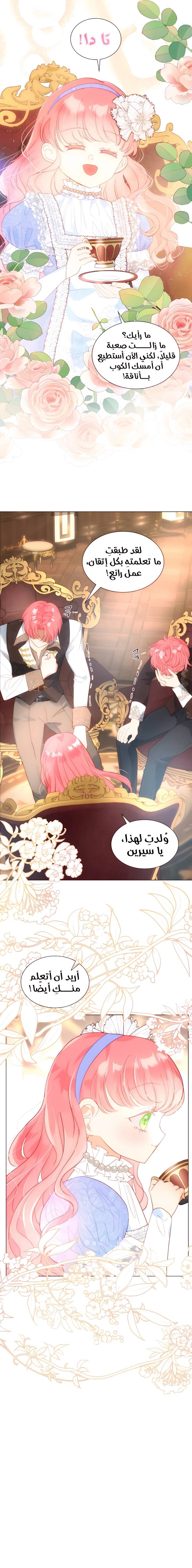 الصفحة 11