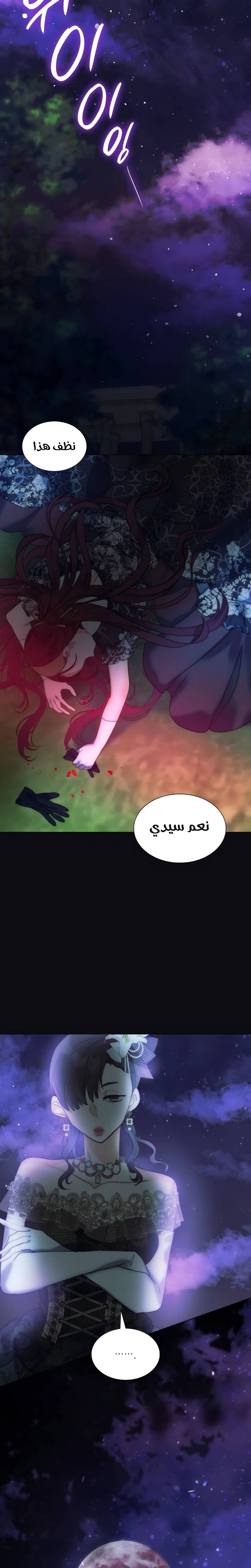 الصفحة 24