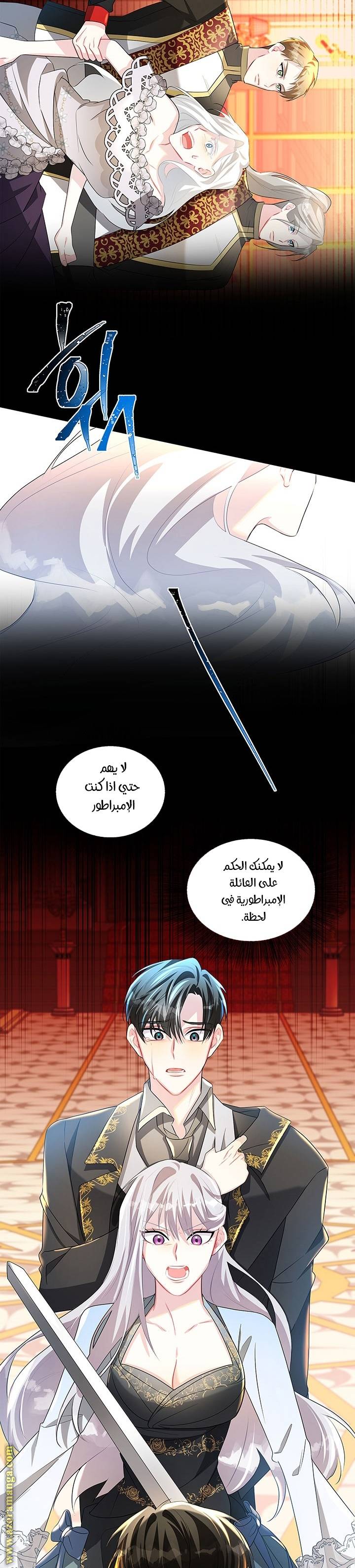 الصفحة 25