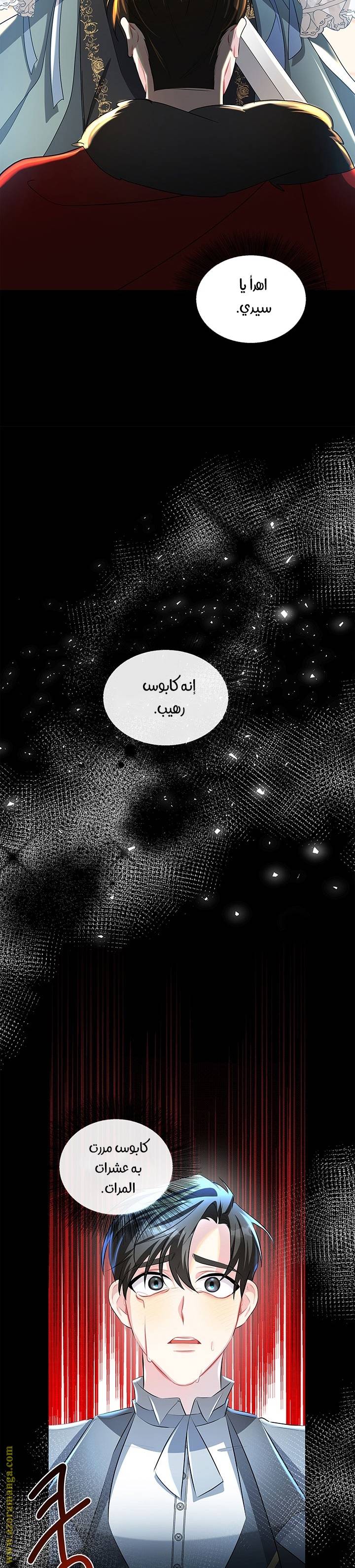 الصفحة 26
