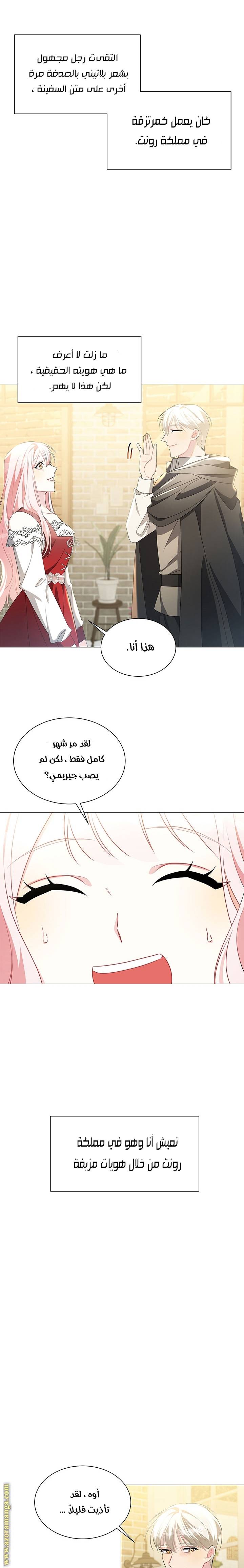 الصفحة 13