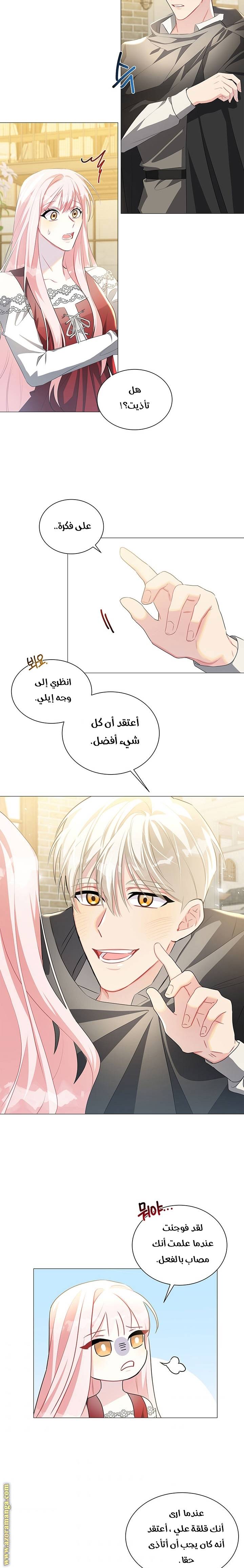 الصفحة 14