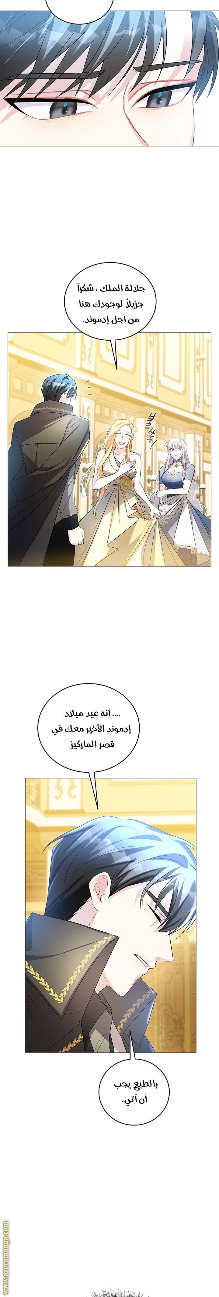 الصفحة 17