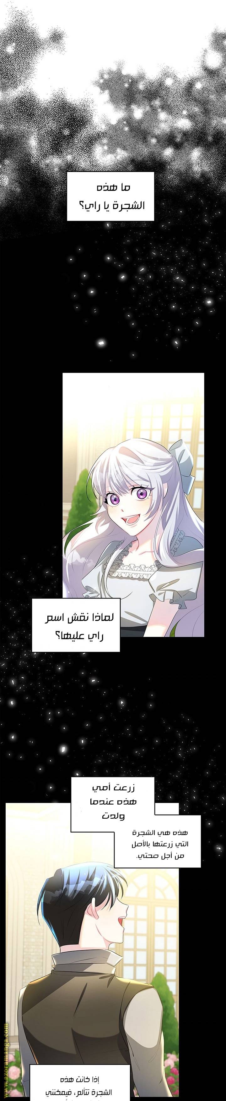 الصفحة 15