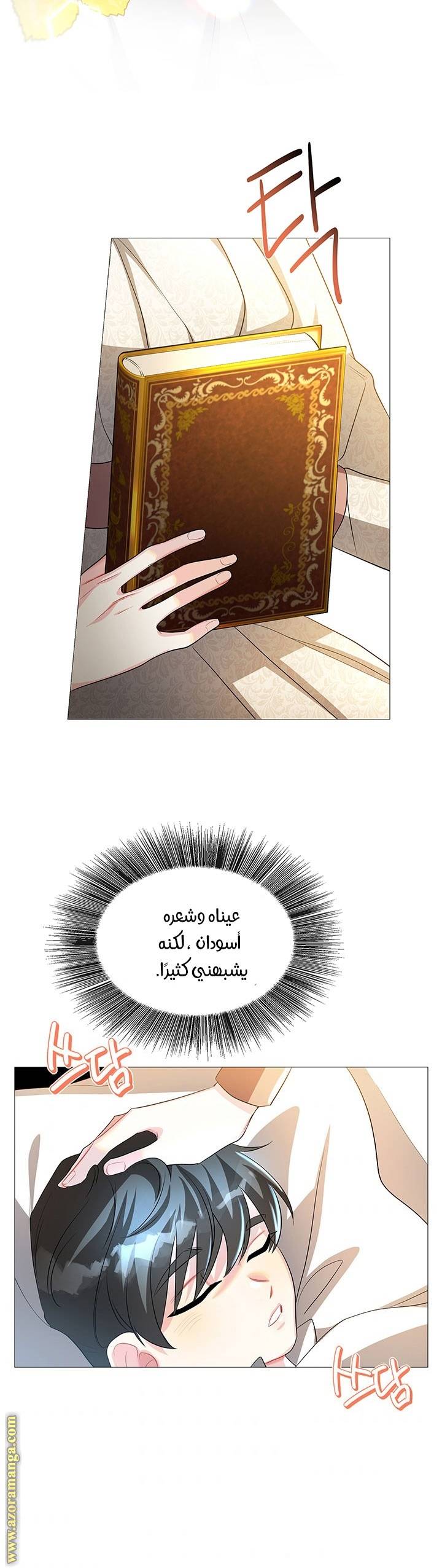 الصفحة 23