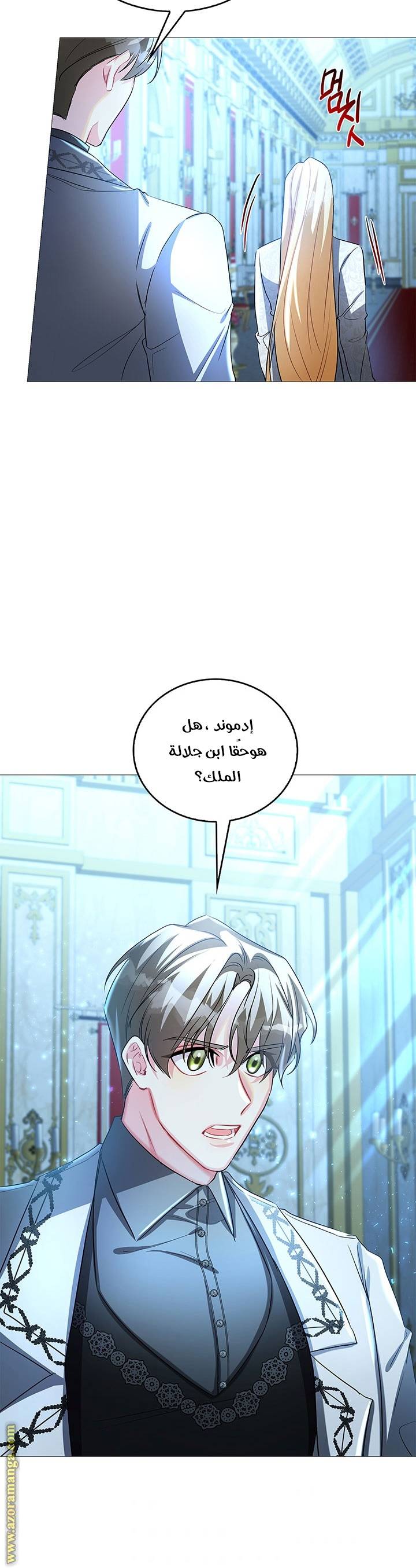 الصفحة 31