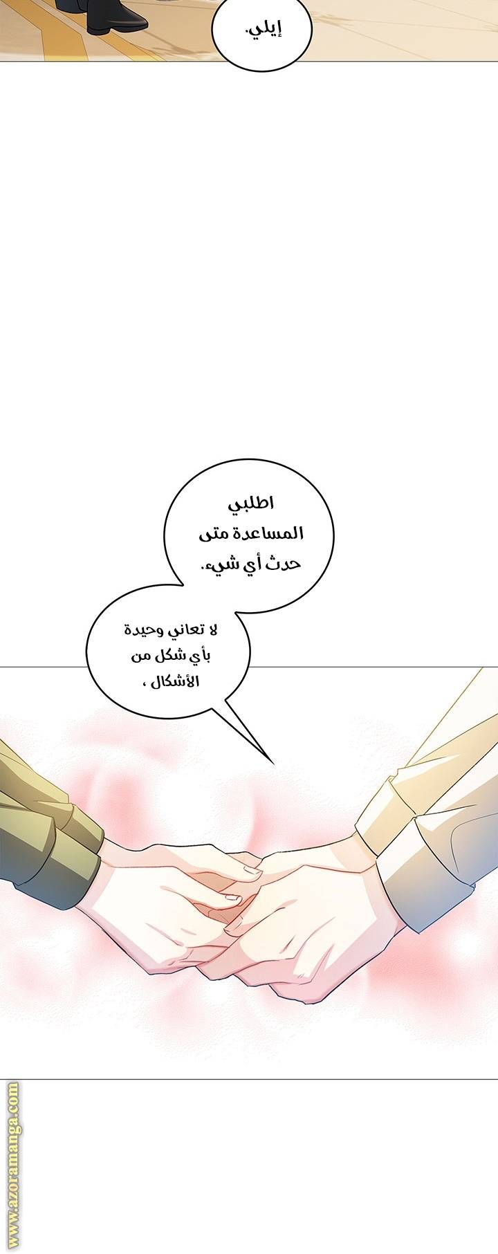 الصفحة 43