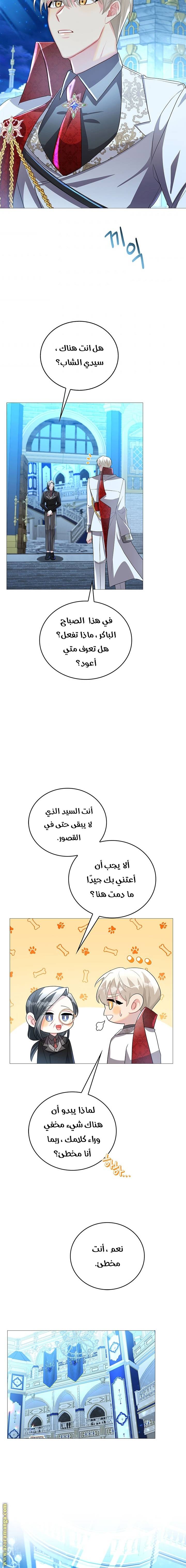 الصفحة 11