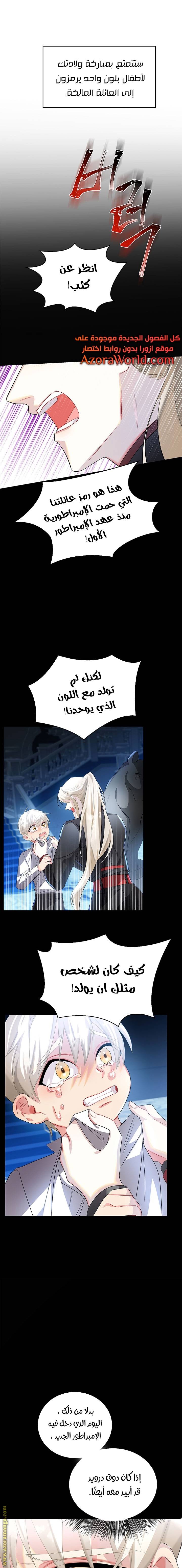 الصفحة 13