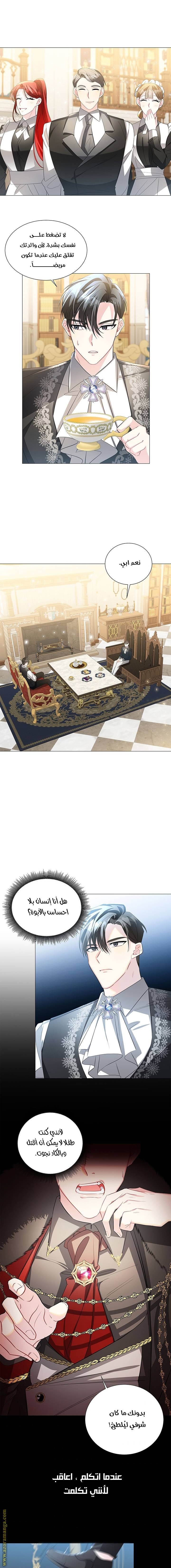 الصفحة 11