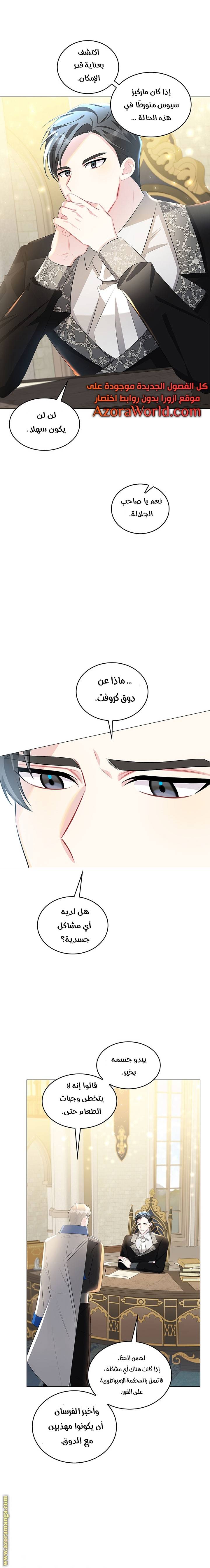 الصفحة 17