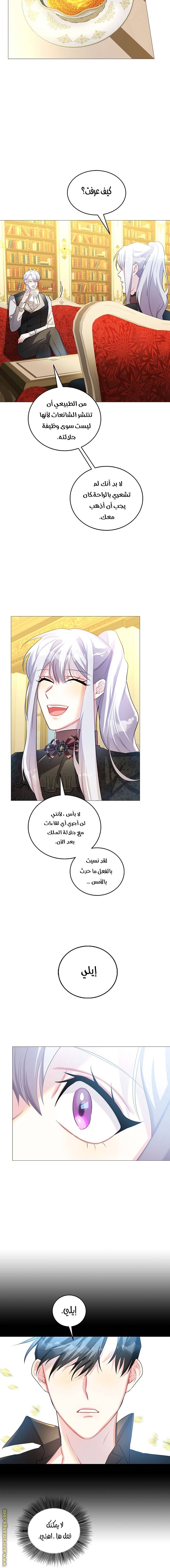 الصفحة 14