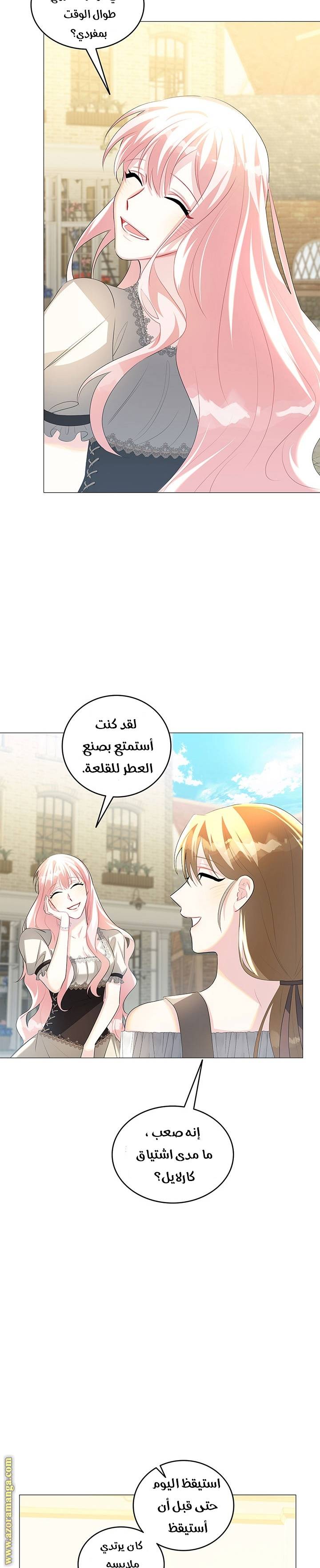 الصفحة 21