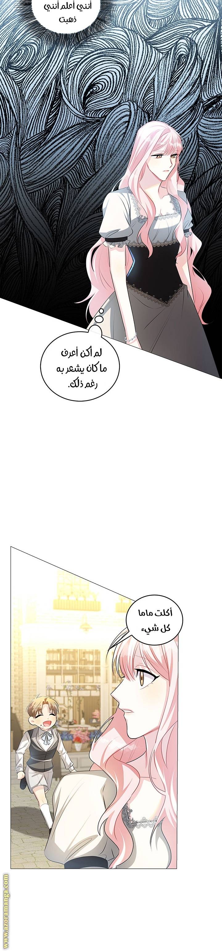 الصفحة 27